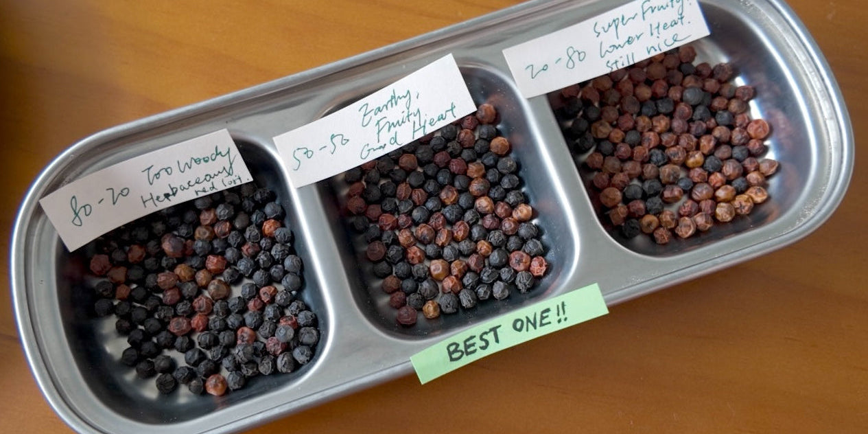 What Makes Debut Blend So Special?