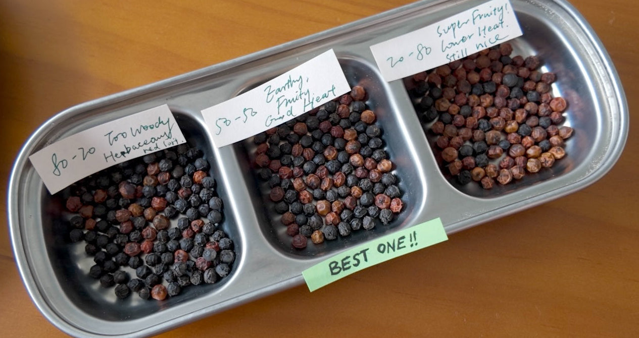 What Makes Debut Blend So Special?